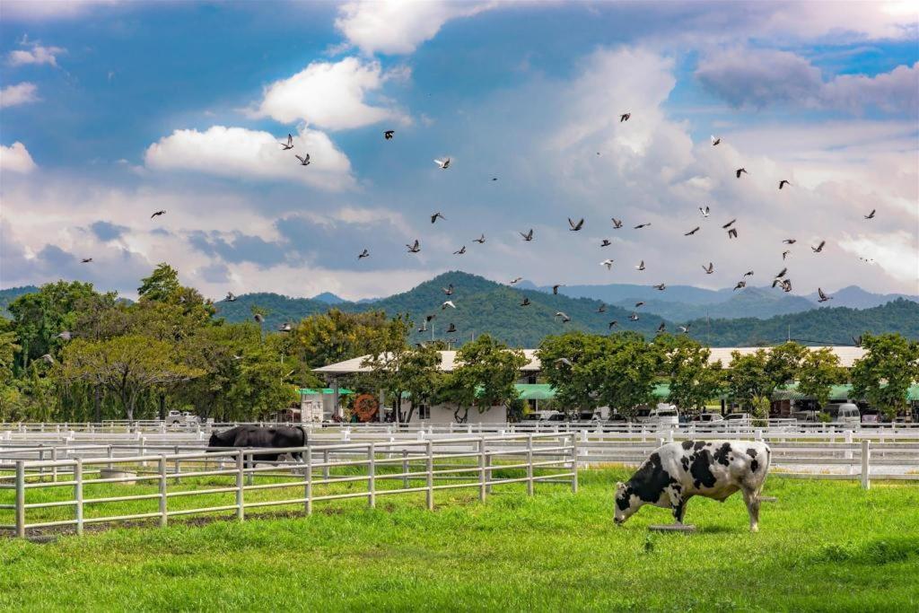 Dusit Talai Resort ムーシ エクステリア 写真